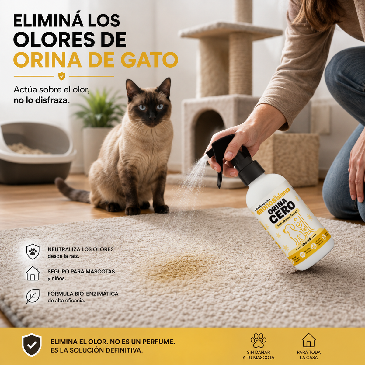 ORINA CERO | Bruno&Bianca
