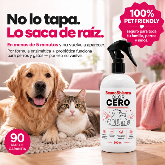 OLOR CERO