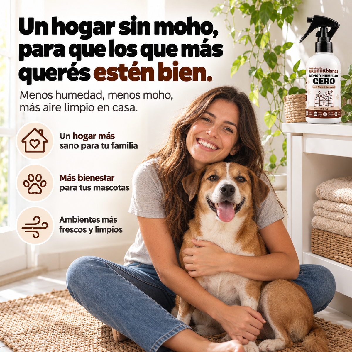 QUITA HUMEDAD - MOHO Y HUMEDAD CERO | Bruno&Bianca