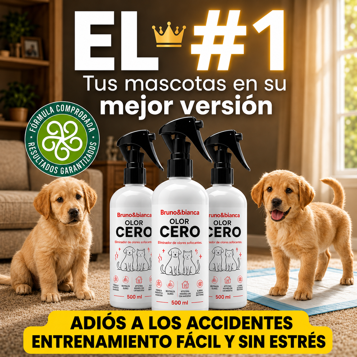 OLOR CERO EN MENOS DE 5 MINUTOS - BRU&BIA