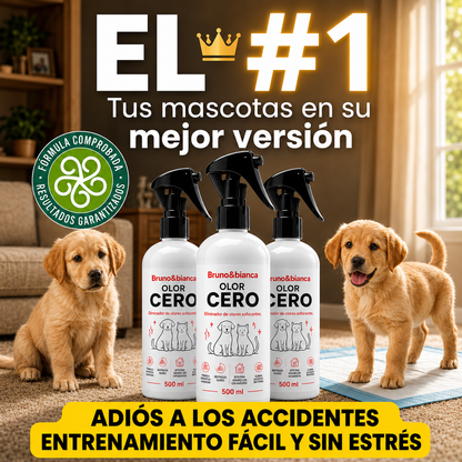 OLOR CERO EN MENOS DE 5 MINUTOS - BRU&BIA